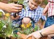 Day Nursery - Planting Our Garden: A Case Study
